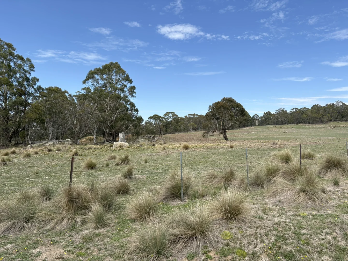 Additional image 10 of Lot 31/31, 175 Tumbledown Road, Peak View NSW 2630