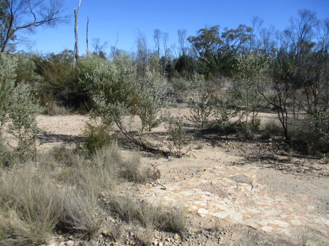 Additional image 3 of Lot 29 Dahlkes Road, Tara QLD 4421