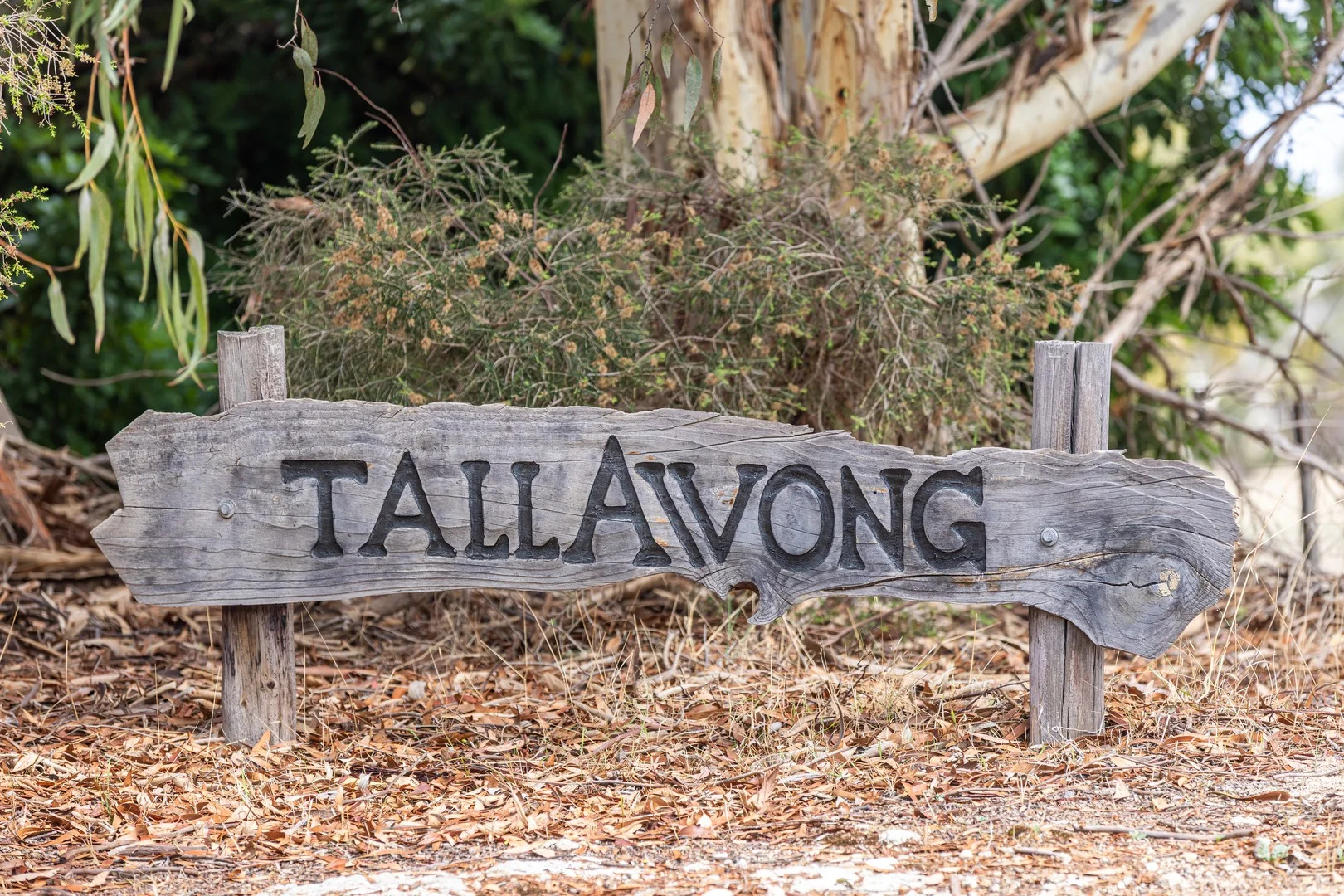 3258 Riddoch Highway, Willalooka SA 5267