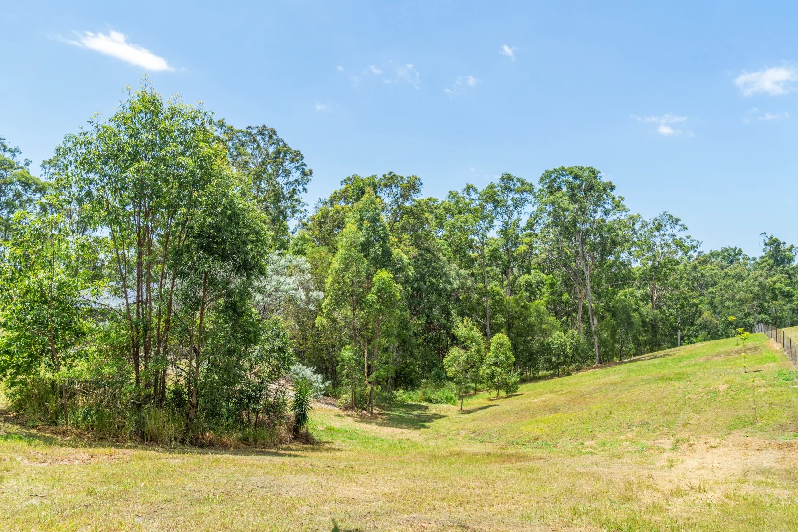 Additional image 4 of 413 San Fernando Drive, Worongary QLD 4213