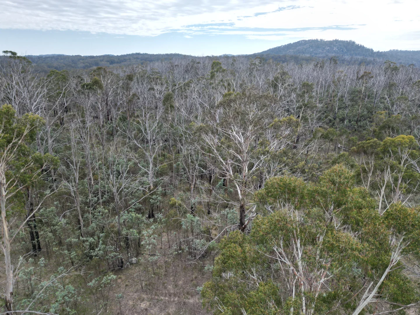 Additional image 18 of Lot 97/97, 175 Tumbledown Road, Peak View NSW 2630
