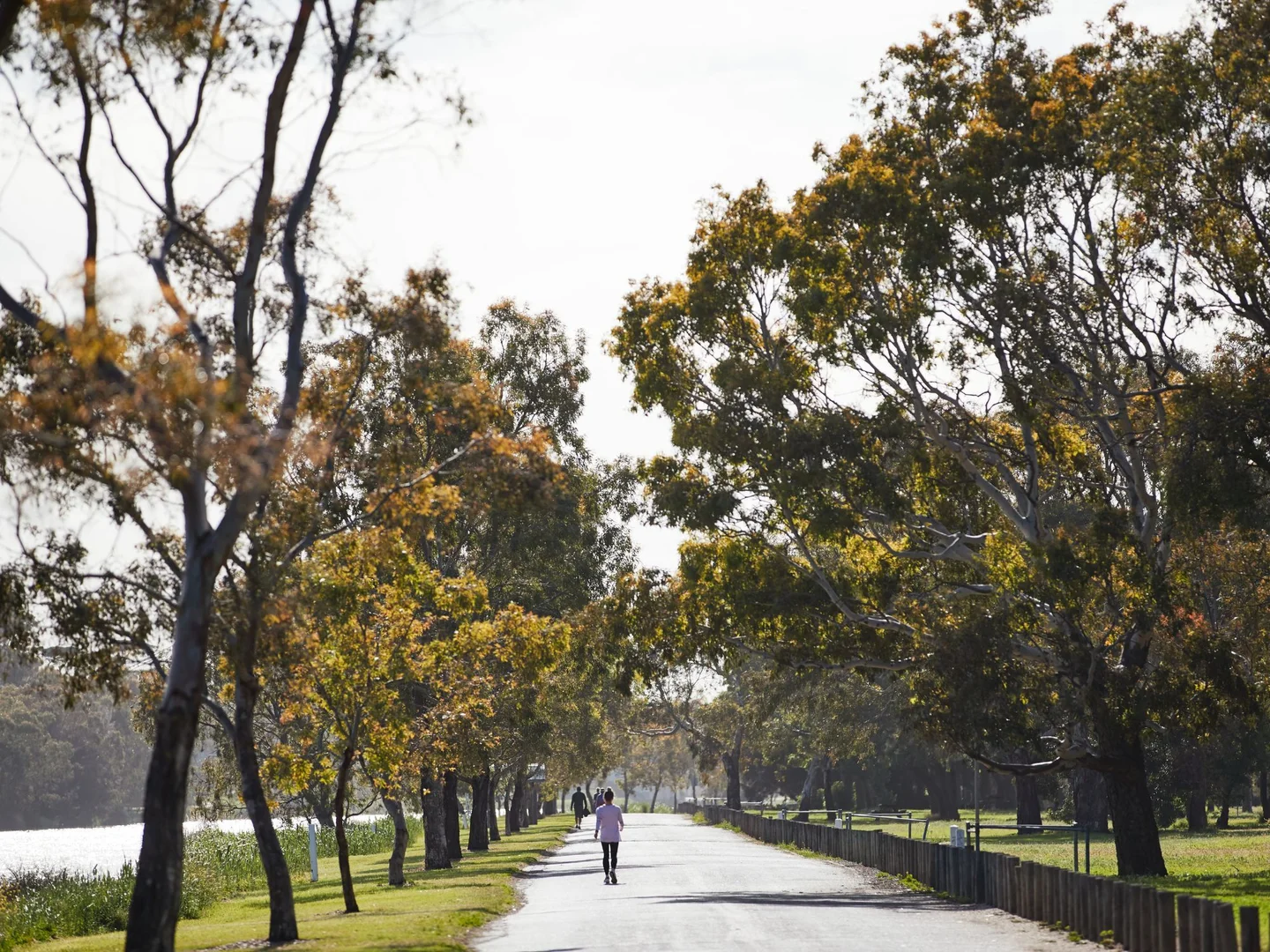 Additional image 15 of 12 Forrest Street, Geelong VIC 3220