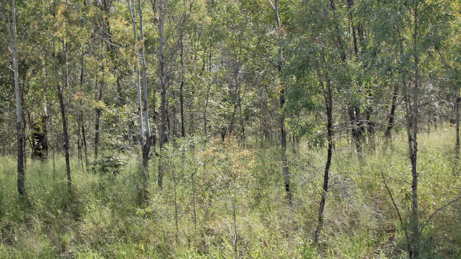 Lot 11 Burnett Highway, Eidsvold QLD 4627