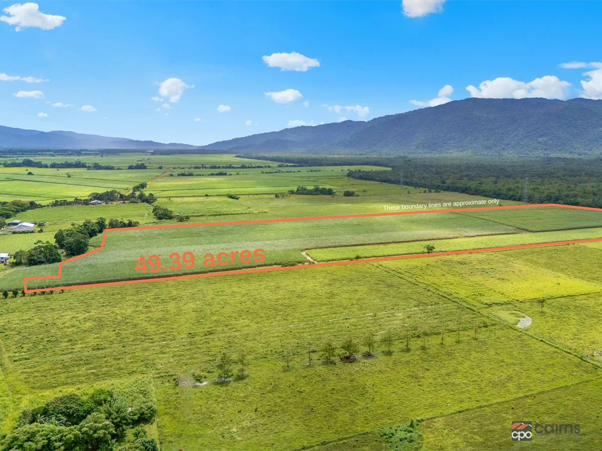 101 Bruce Highway, Bellenden Ker QLD 4871 photo 4