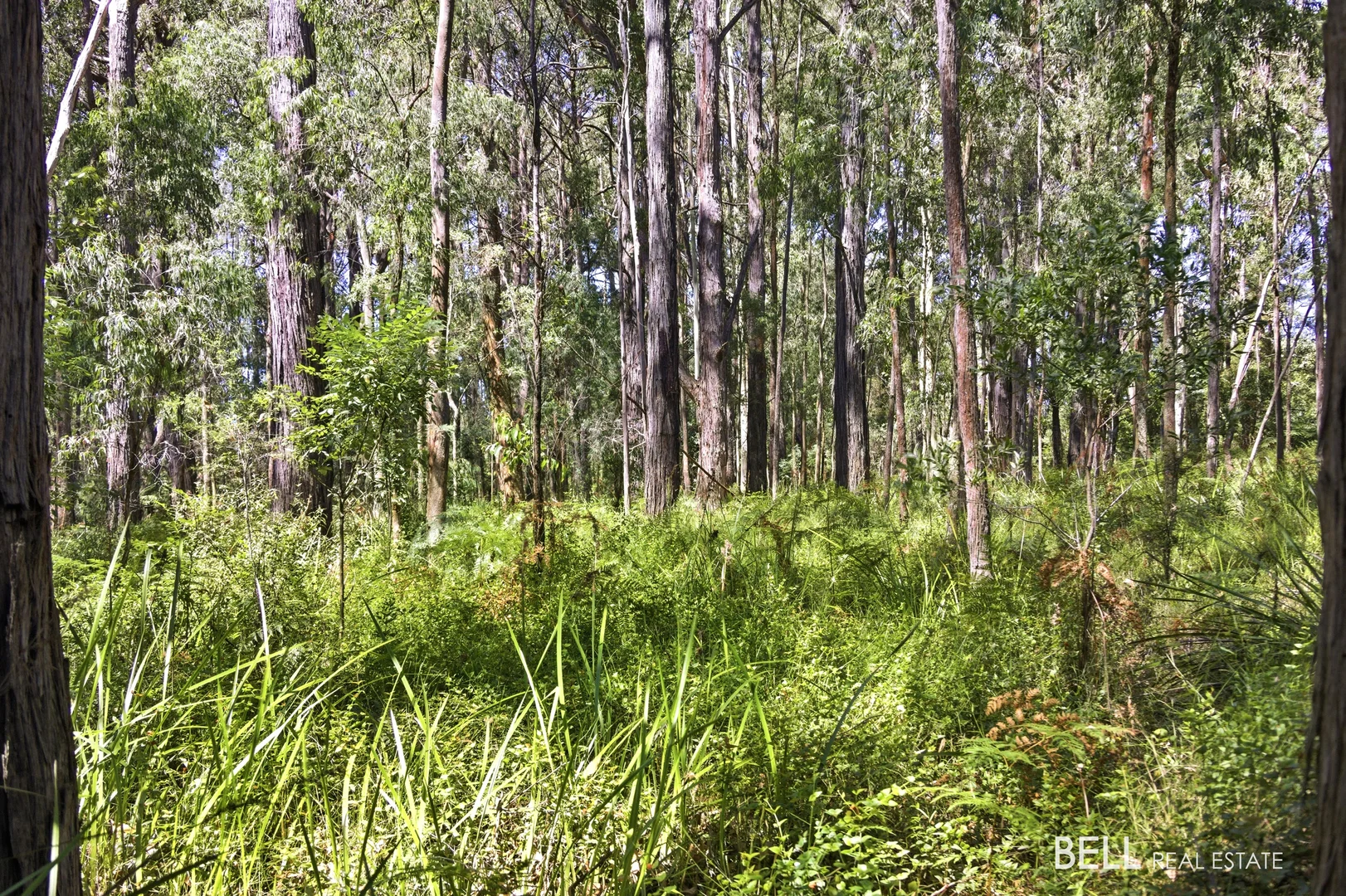 Additional image 4 of 1195 Little Yarra Road, Three Bridges VIC 3797