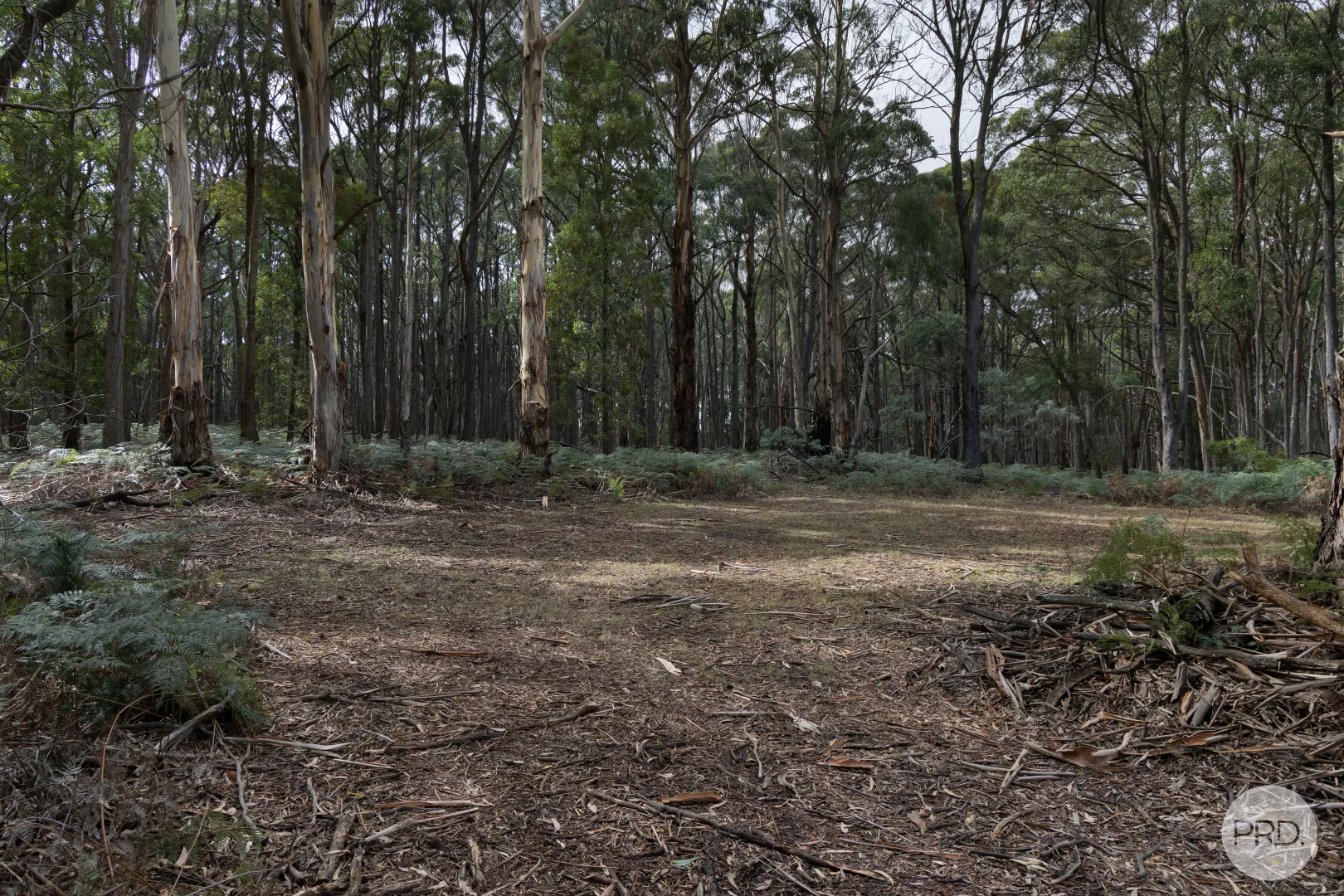 Additional image 3 of 266 Treweeks Road, Blampied VIC 3364