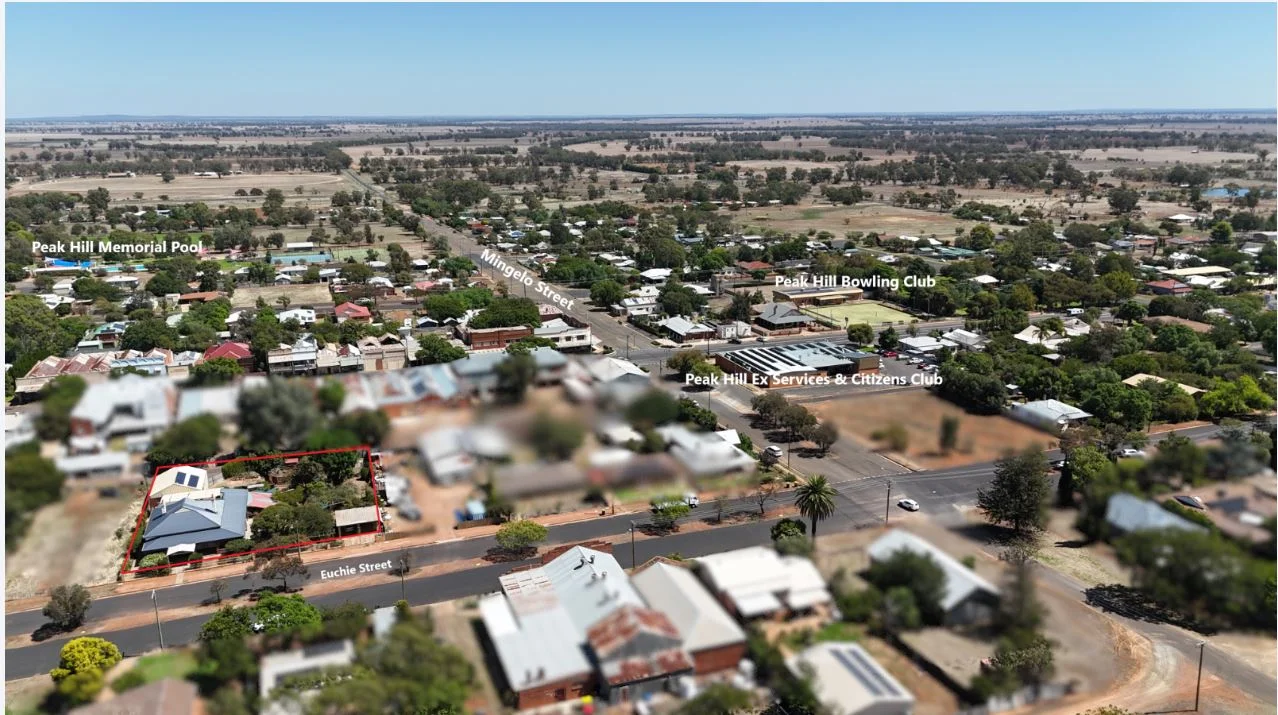 72 Euchie Street, Peak Hill NSW 2869