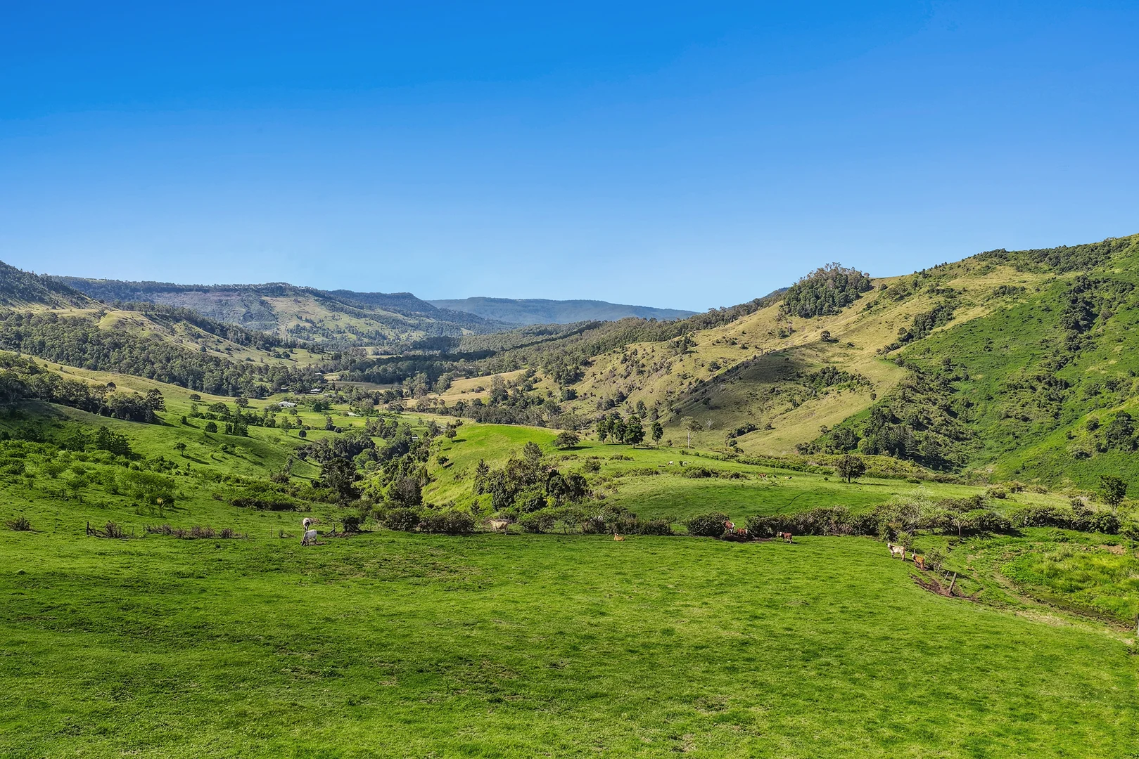 Additional image 31 of 462 Illinbah Road, Illinbah QLD 4275