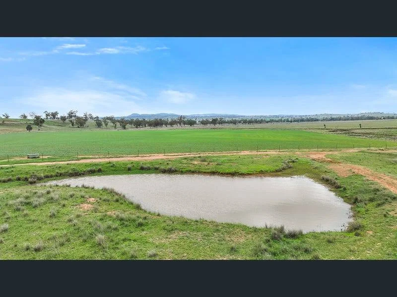 Additional image 23 of "La Trinidad", Tamworth NSW 2340