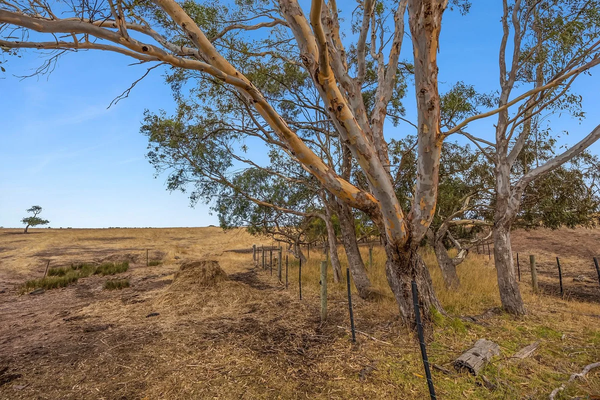 Additional image 12 of 1560 Blackgate Road, Freshwater Creek VIC 3217