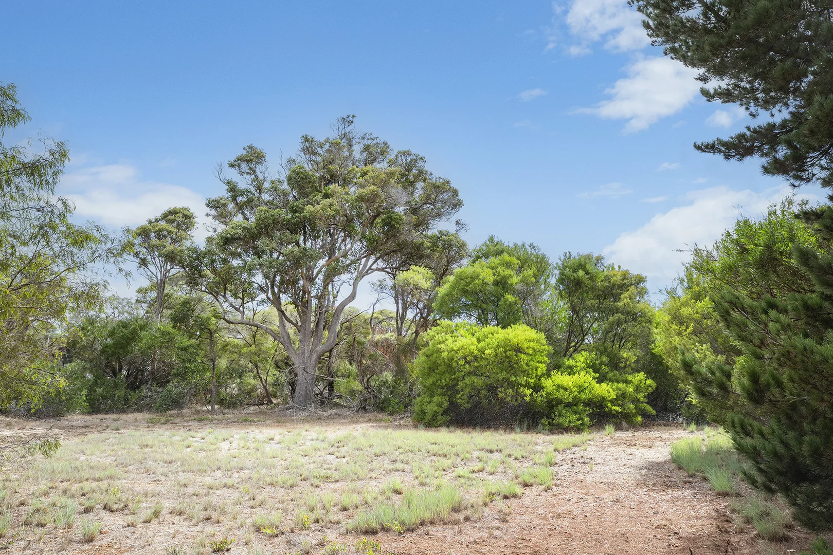 Additional image 5 of 12424 Bussell Highway, Karridale WA 6288