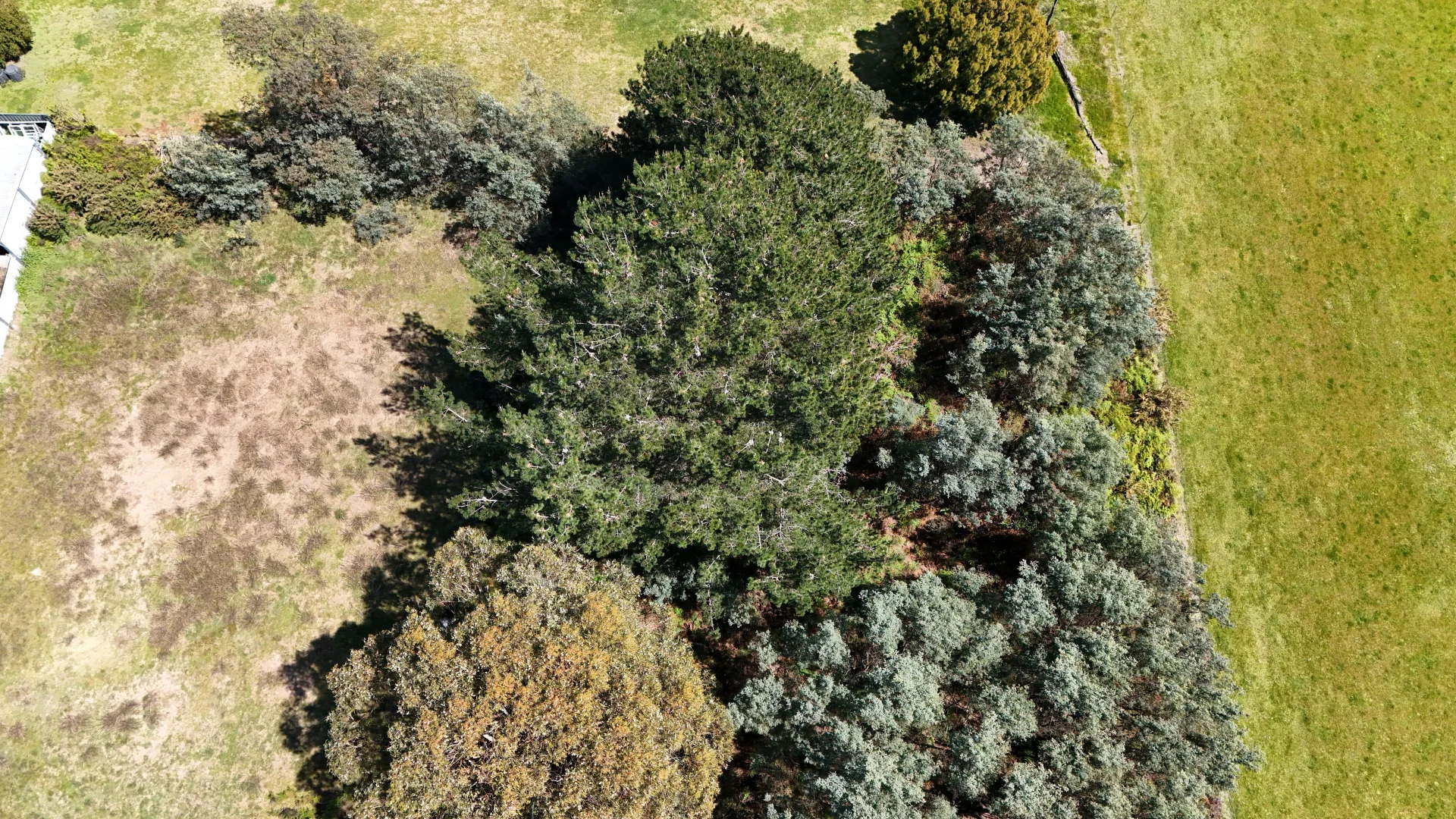 Additional image 2 of Lot 14 & 15 Coote Street, Beaconsfield TAS 7270