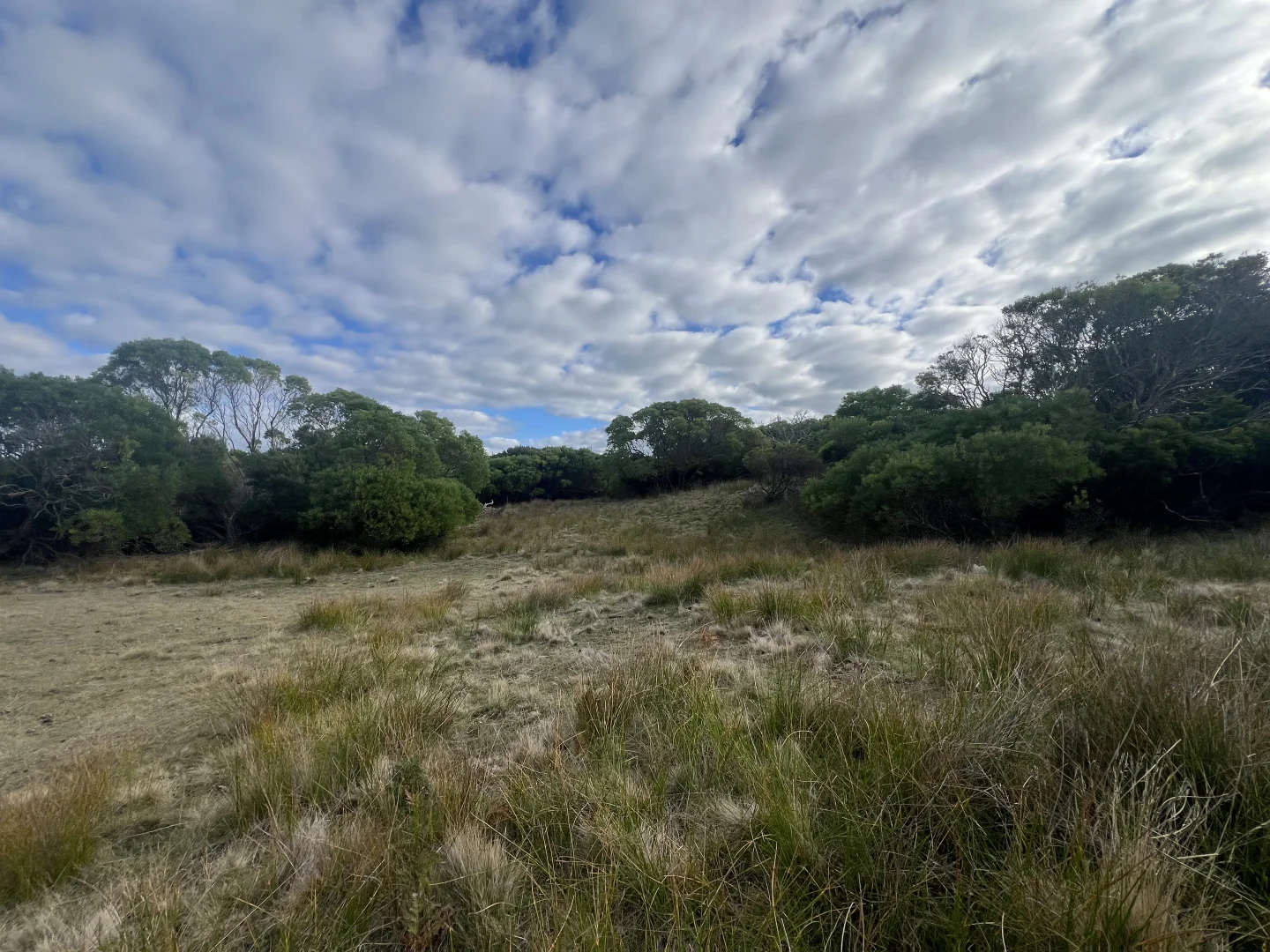 Additional image 14 of 274 South Road, Nugara TAS 7256
