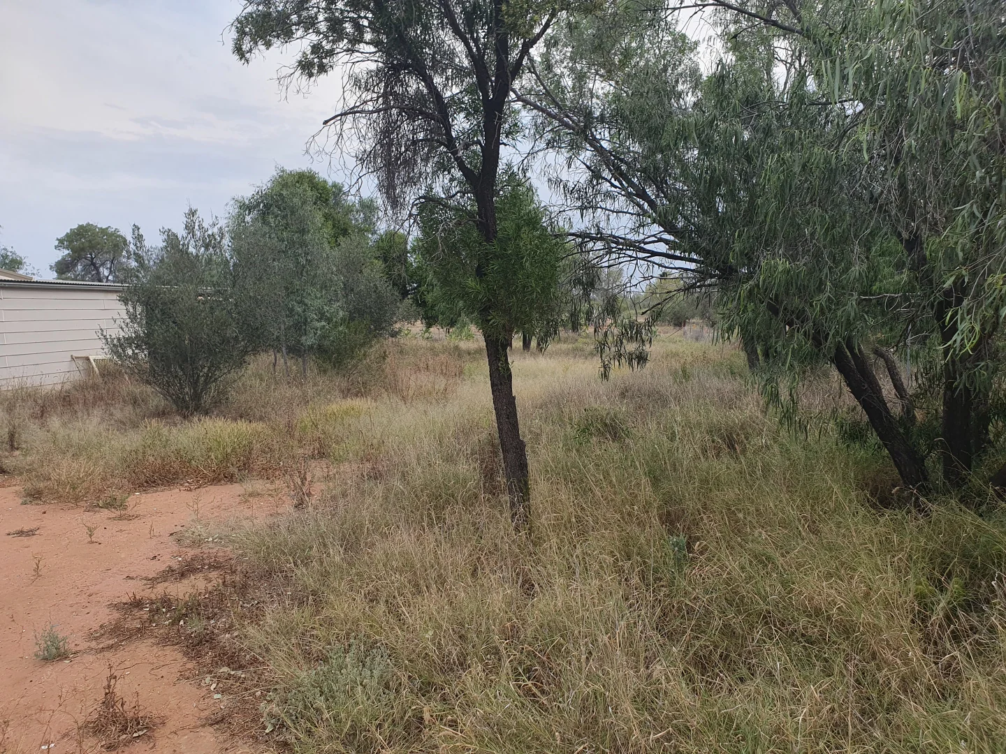 Additional image 4 of 12 Petworth Street, Angledool NSW 2834