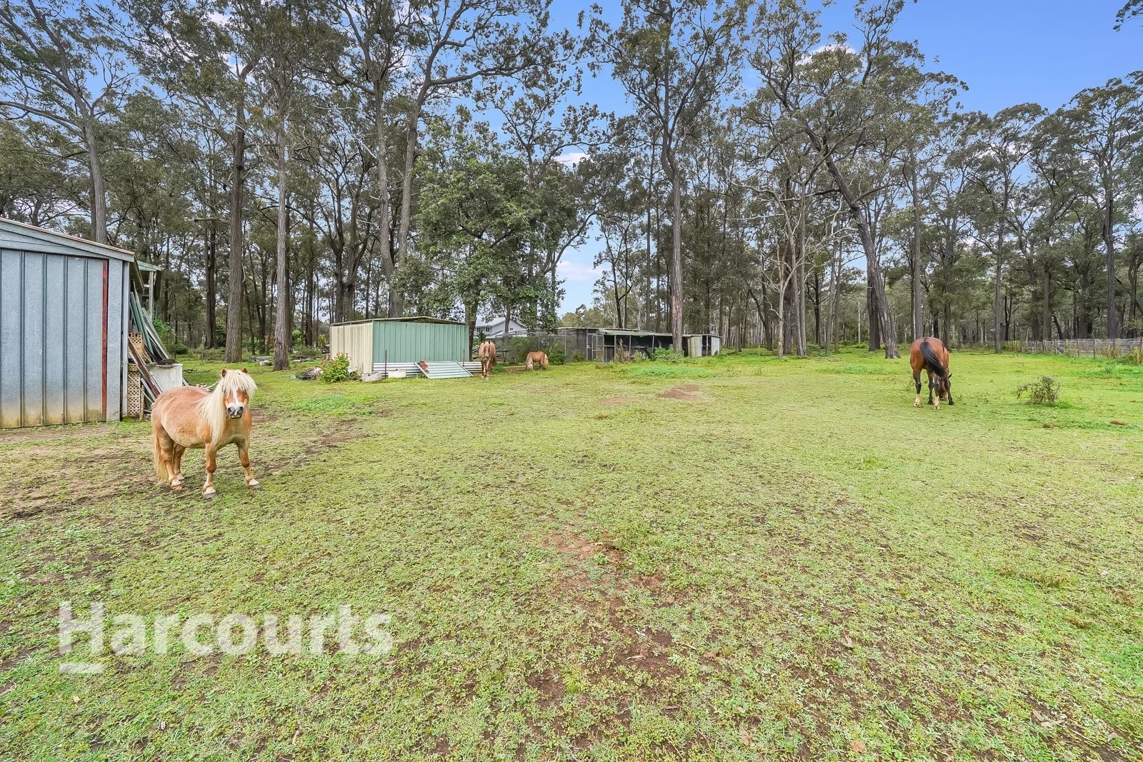 Additional image 10 of 74 Hansens Road, Minto Heights NSW 2566