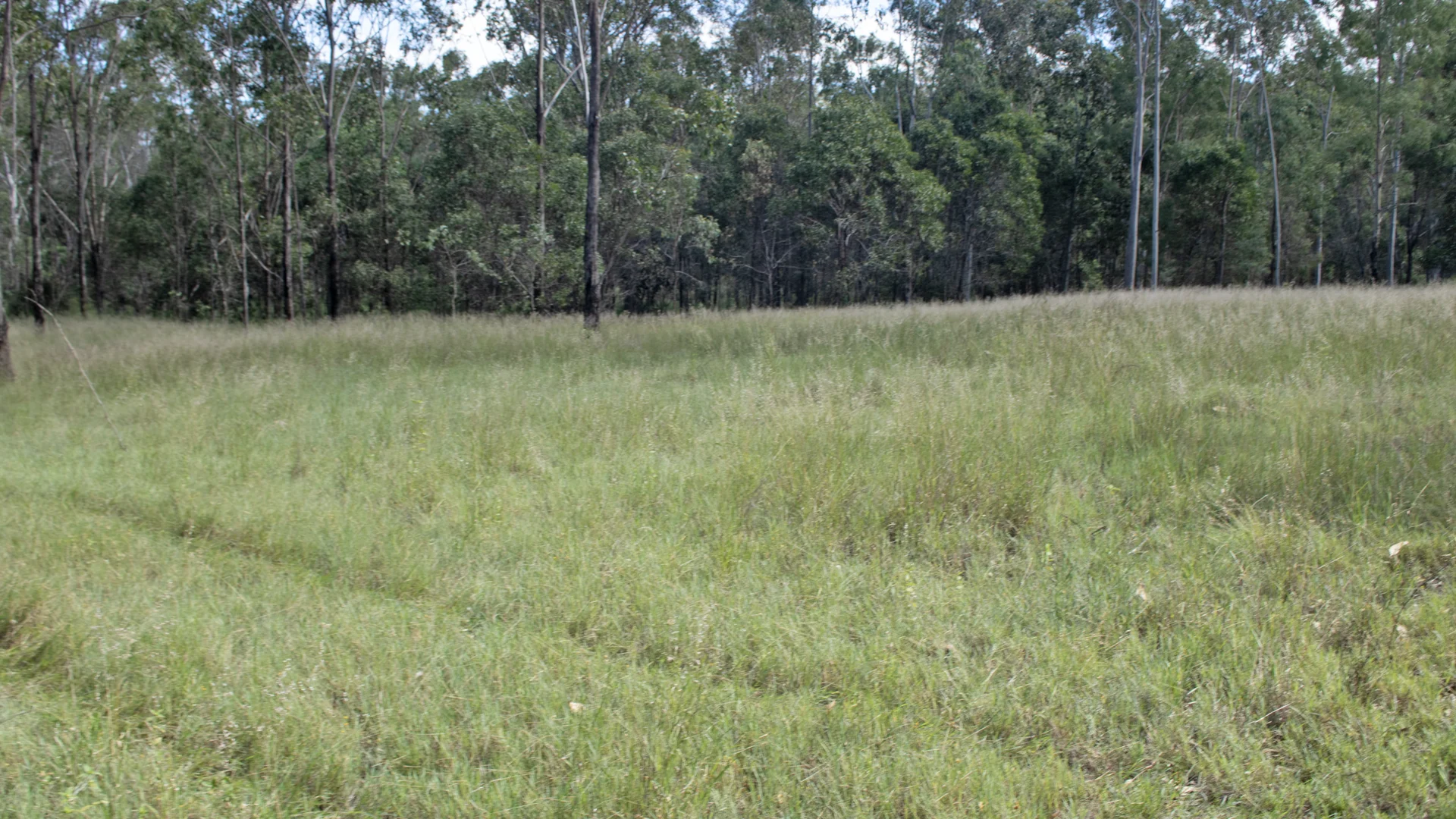 Lot 539 Burnett Highway, Eidsvold QLD 4627