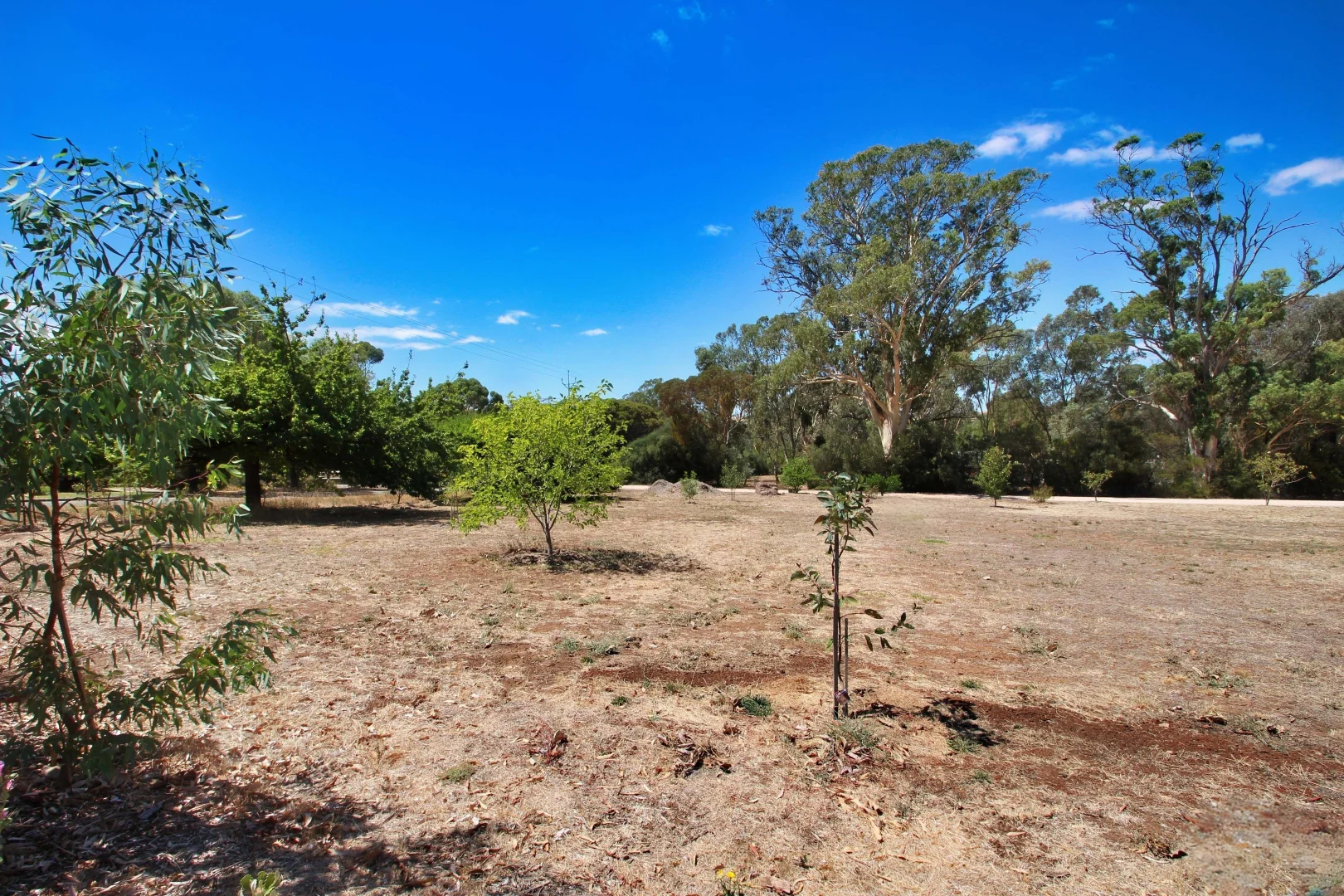Additional image 7 of Lot 104 West Road, Watervale SA 5452