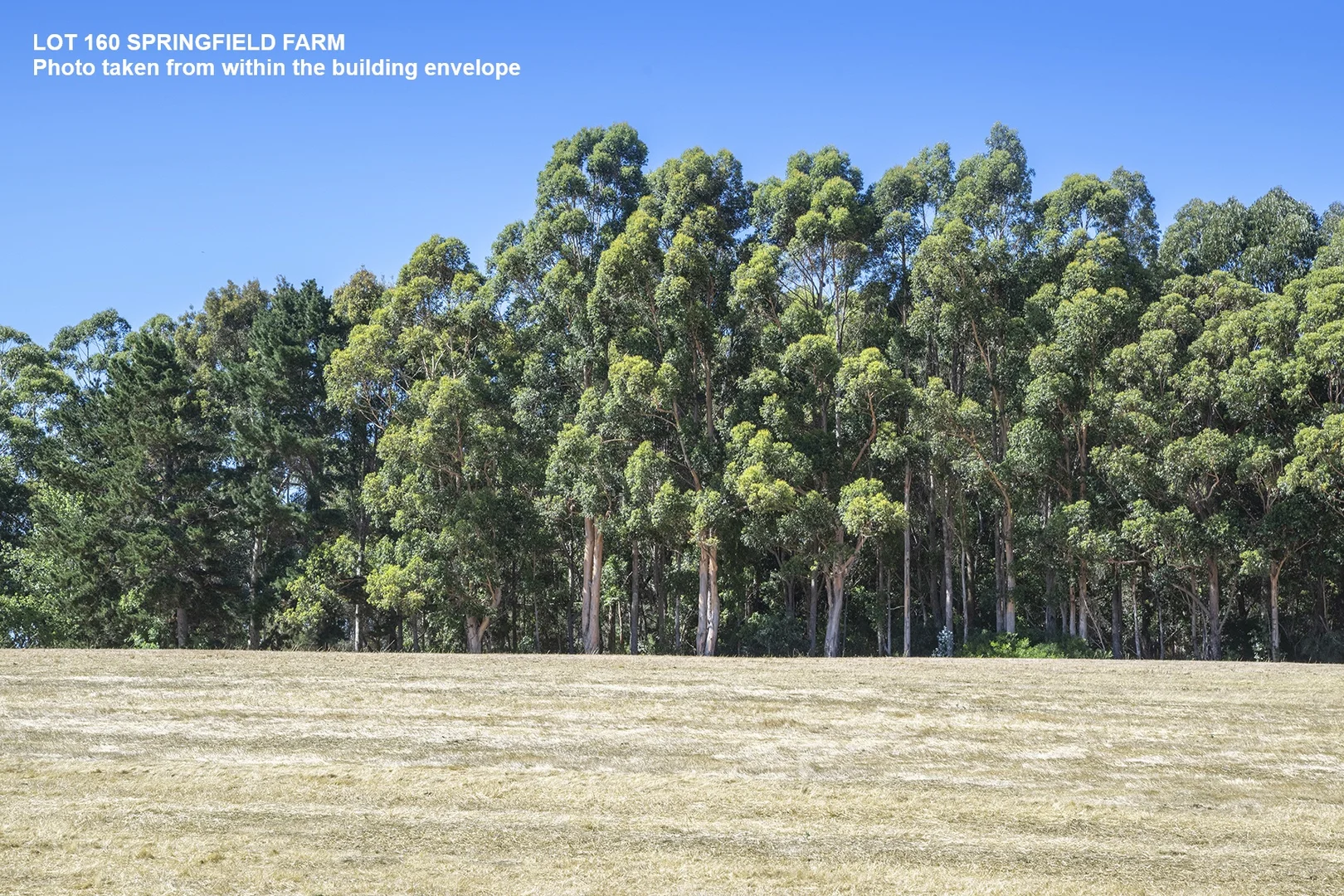 Additional image 3 of Lot 160 Springfield Farm, Yallingup WA 6282