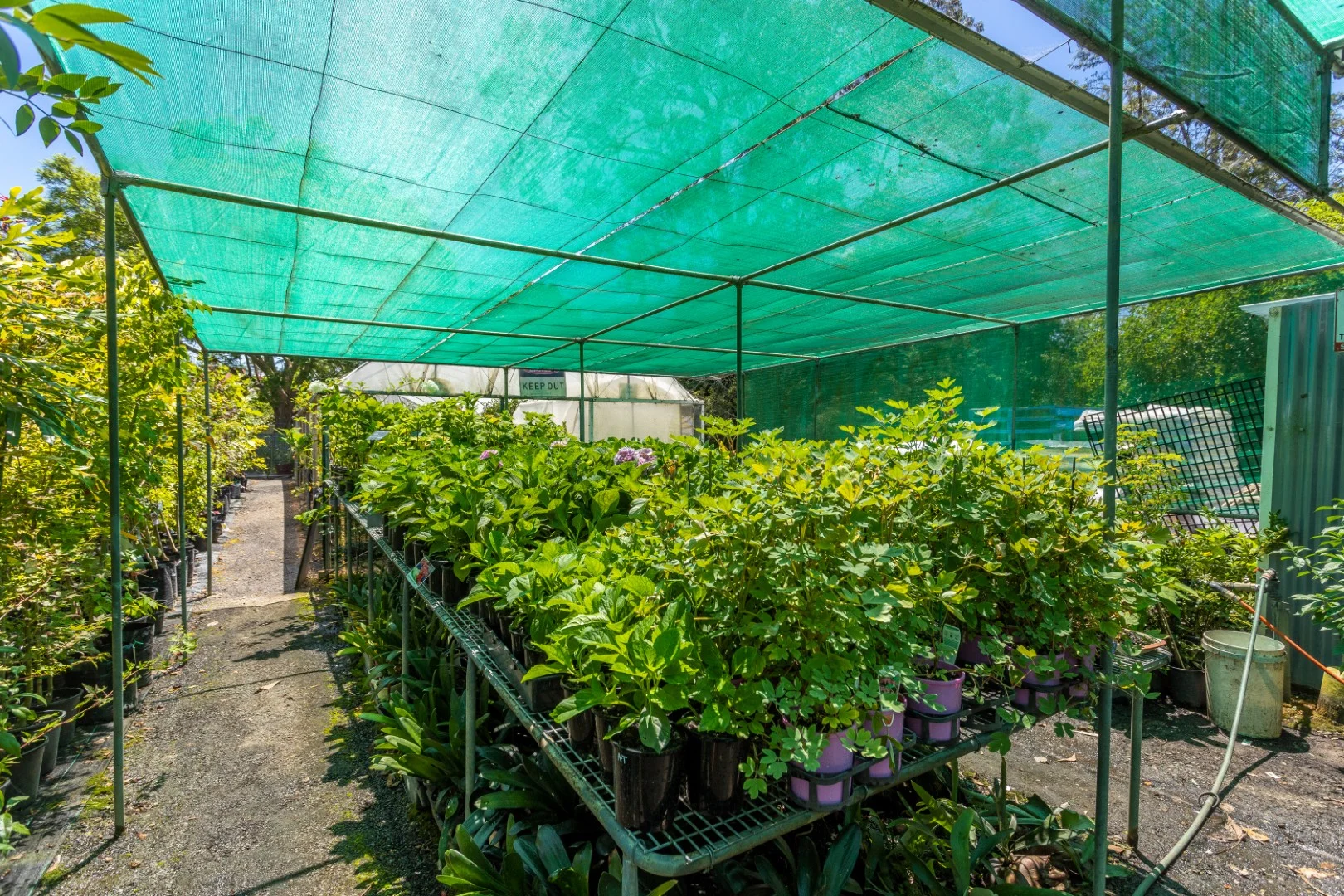 Additional image 19 of 1-5 William Street, Wingham NSW 2429