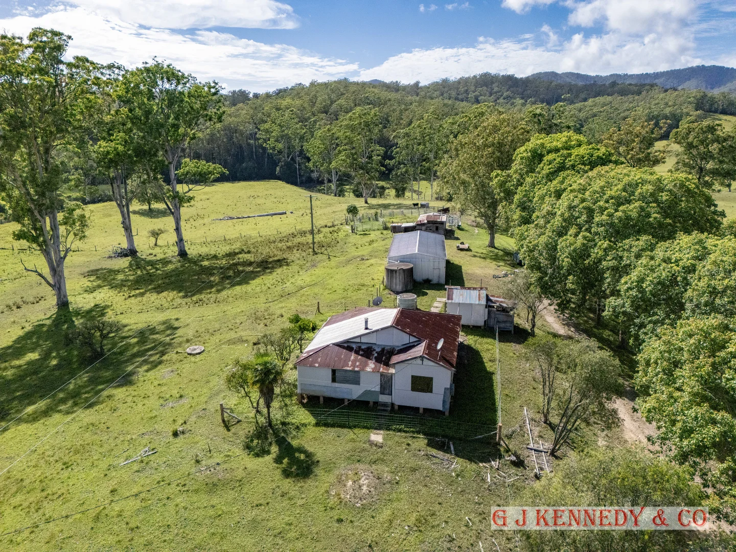Additional image 14 of 223 Bakers Creek Road, Taylors Arm NSW 2447