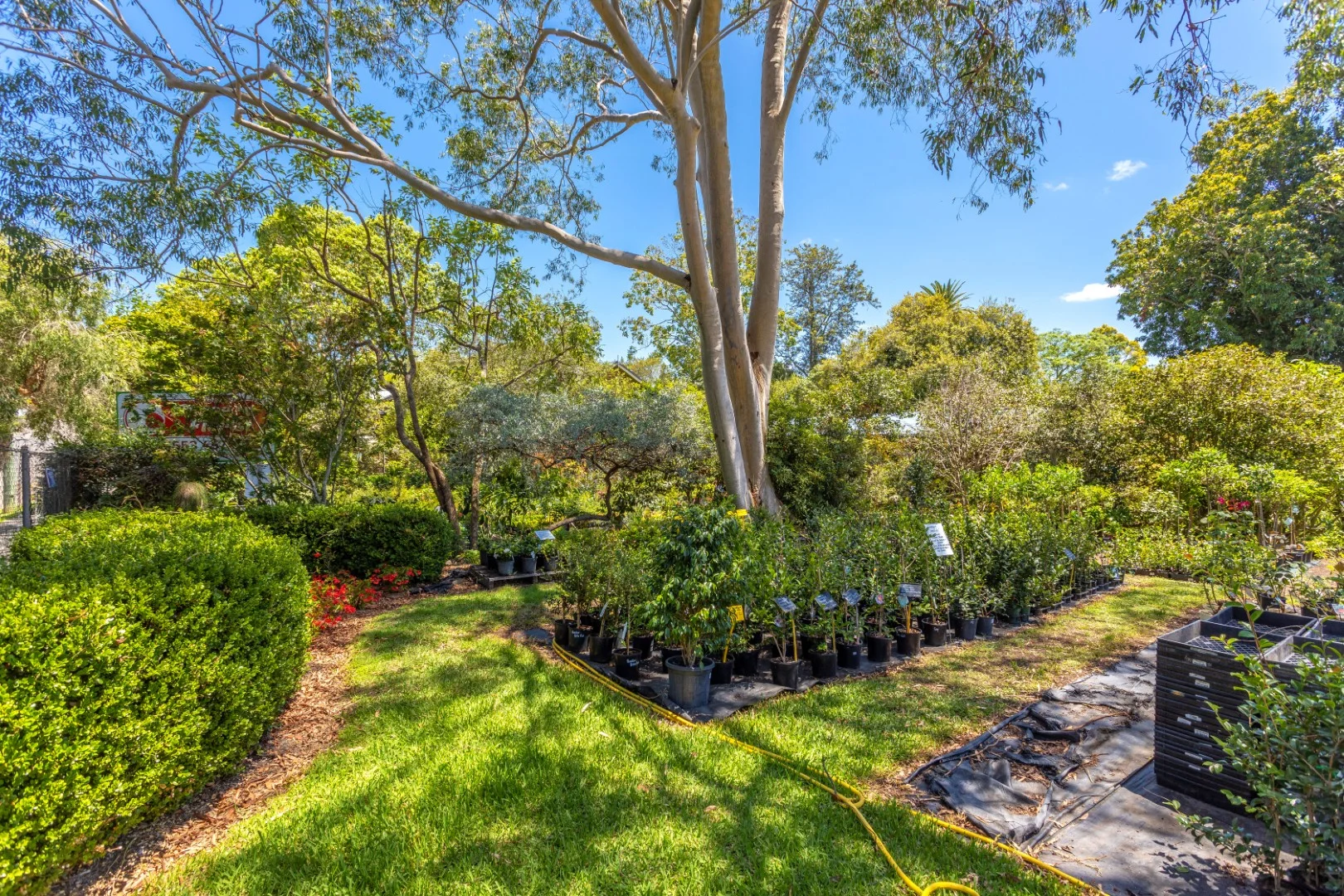 Additional image 11 of 1-5 William Street, Wingham NSW 2429