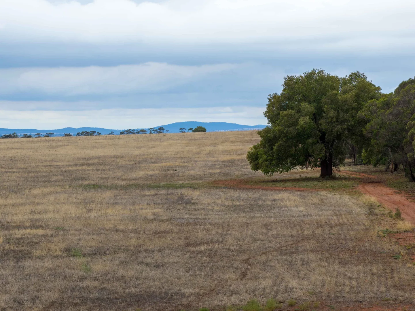 Additional image 14 of 83 Cornells Road, Condobolin NSW 2877