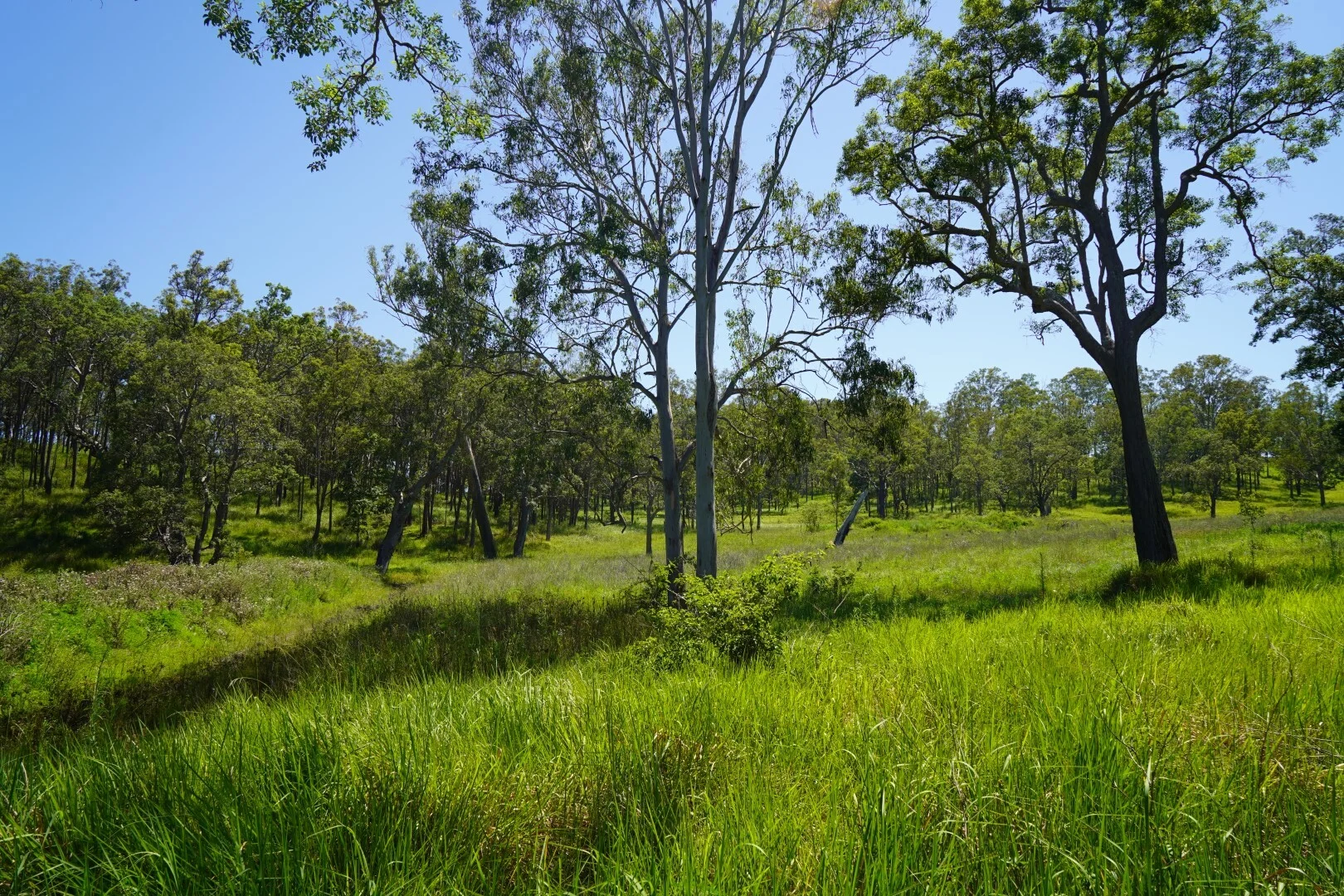 Additional image 28 of 113 Bruxner Highway, Casino NSW 2470