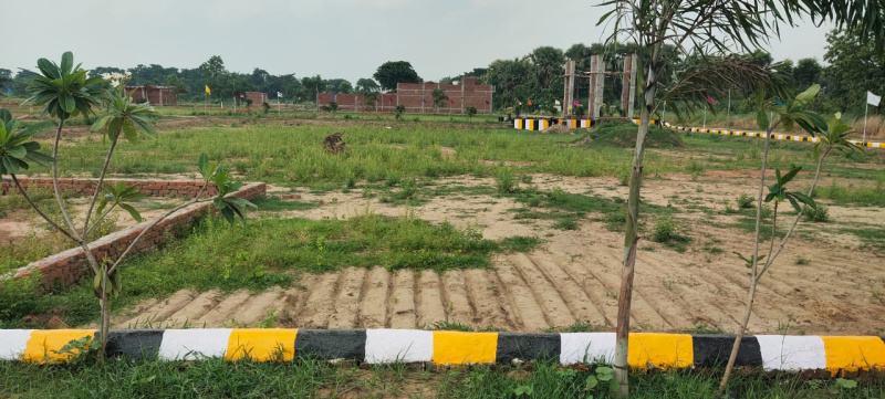 Najafgarh, Delhi
