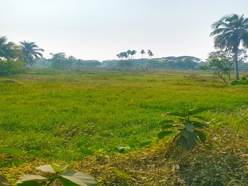 Amtala, Kolkata