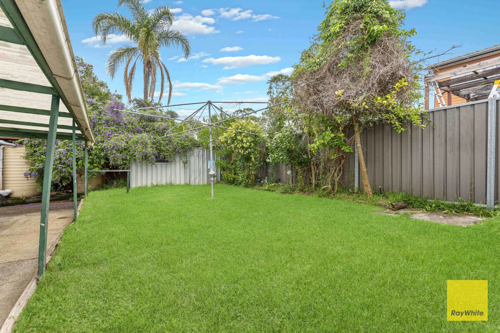 Additional image 14 of 143 Cornelia Road, Seven Hills NSW 2147