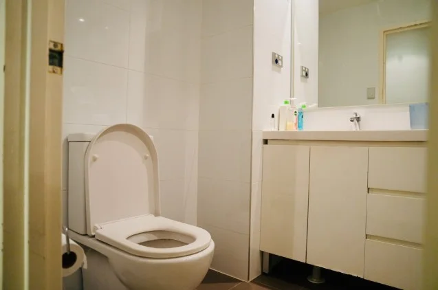 Additional image 3 of D 205/81-86 Courallie Avenue, Homebush West NSW 2140