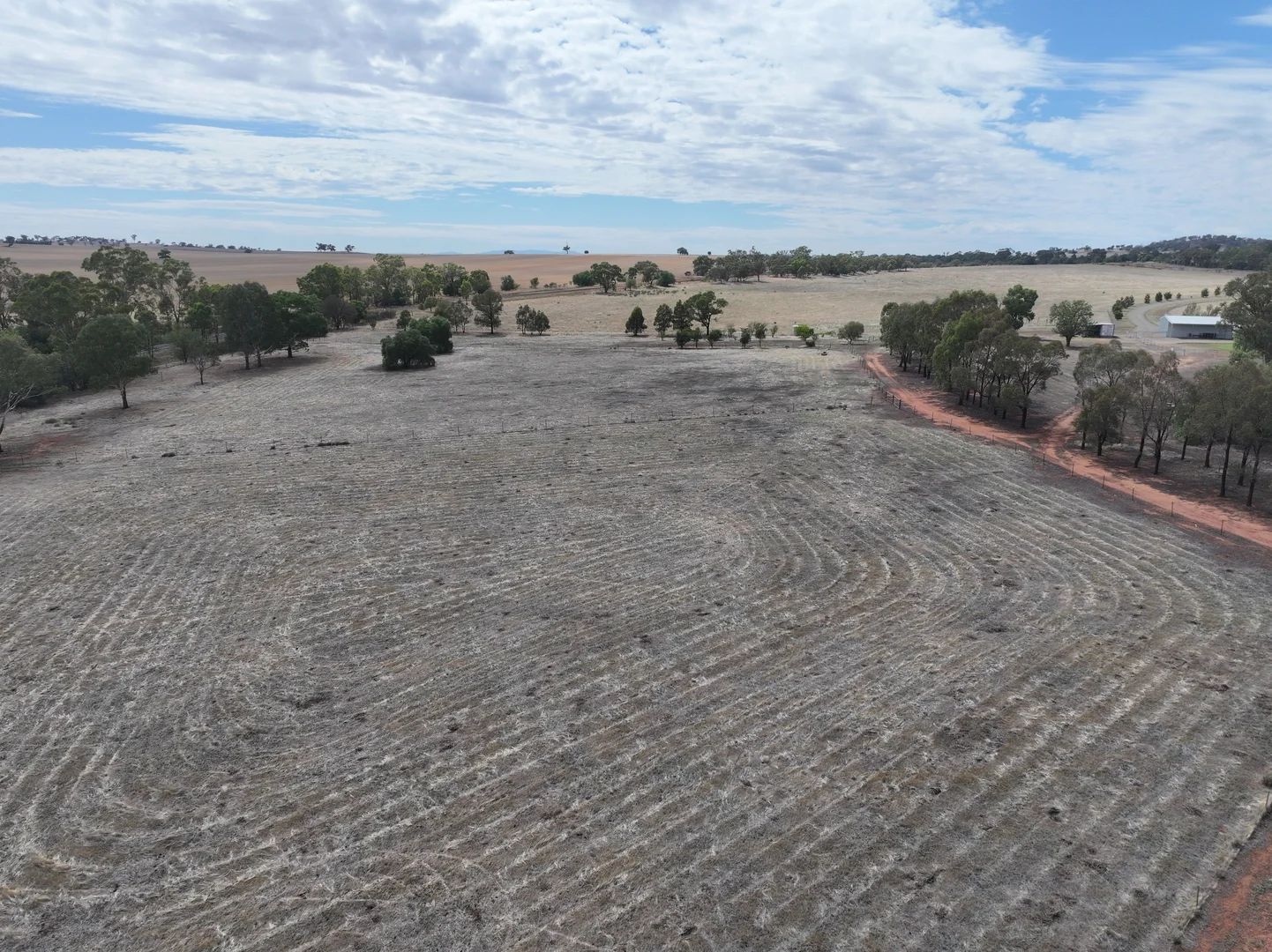 Additional image 11 of 1274 Canola Way, Marrar NSW 2652