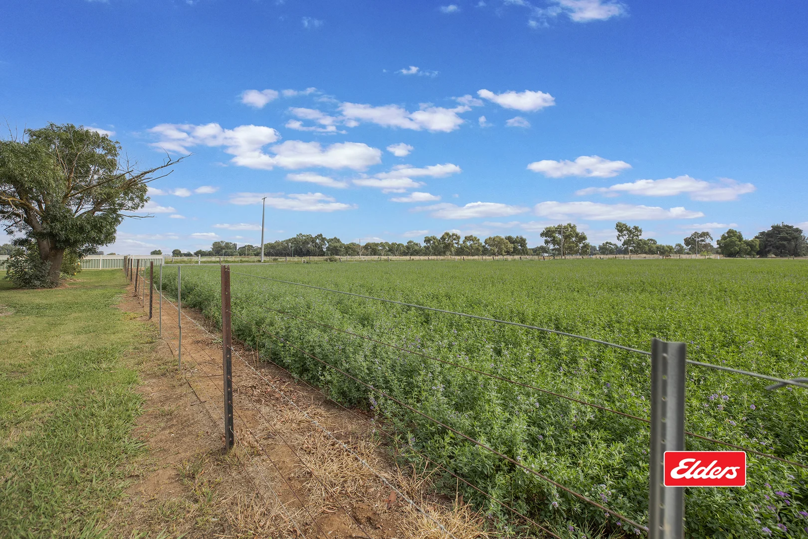 Additional image 3 of 315 Bamawm Road, Echuca VIC 3564