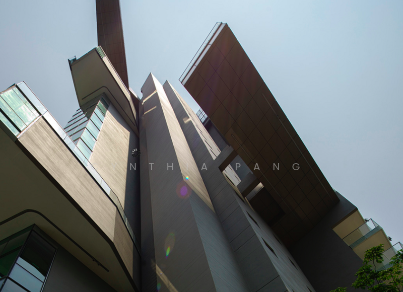 8 Ardmore Park photo 3