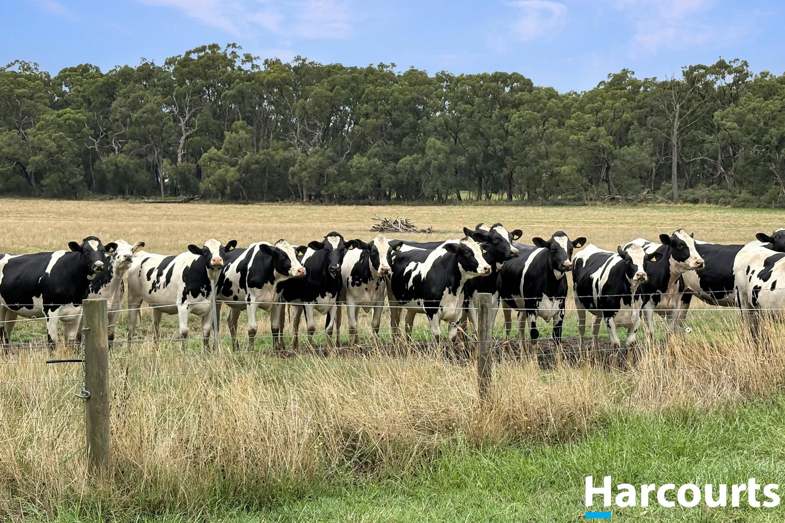 Additional image 8 of 210 Frys Road, Leongatha South VIC 3953