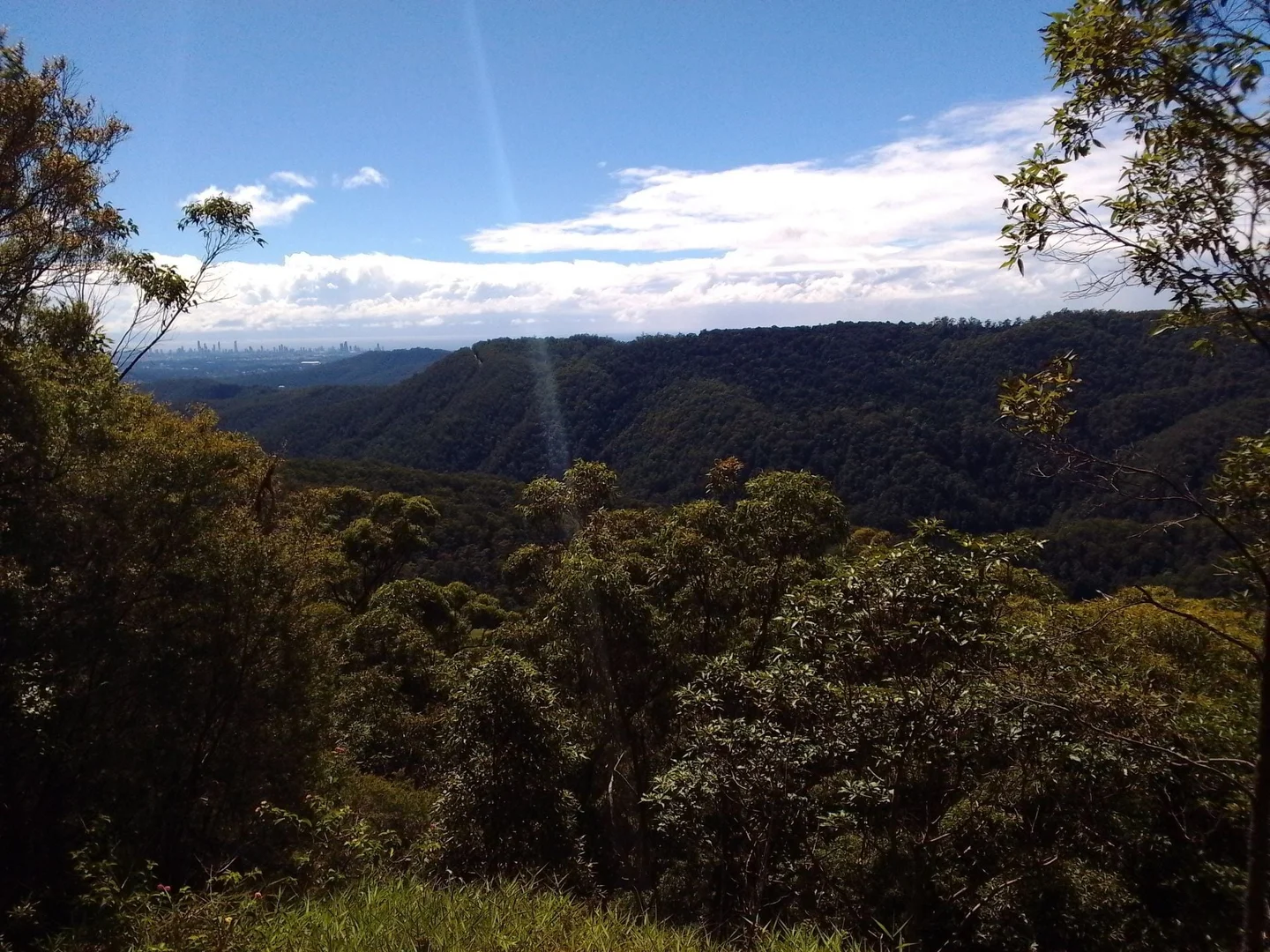 Additional image 6 of 2195 Springbrook Road, Springbrook QLD 4213