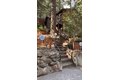 Additional image 21 of 402 Burnt Mill Canyon Rd, Cedarpines Park, CA, 92322