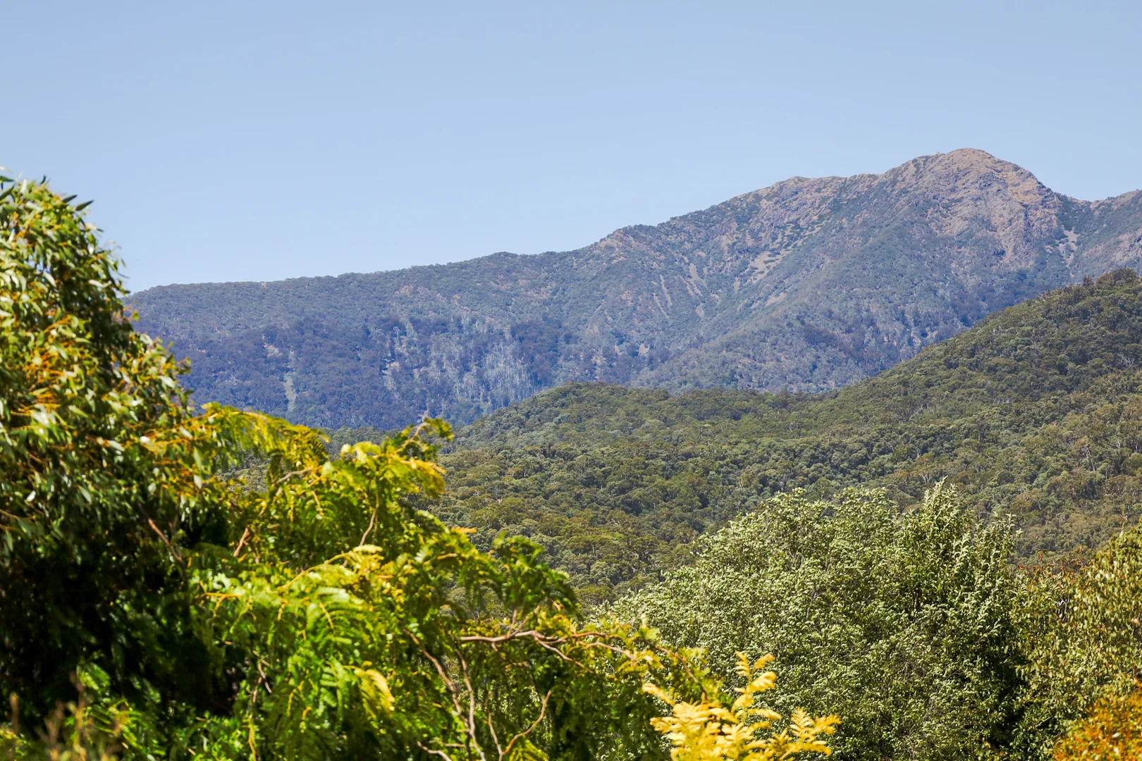 Additional image 19 of 68 Alpine Ridge Drive, Merrijig VIC 3723