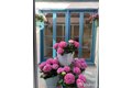 Additional image 16 of 151 Shawnee Ave, San Francisco, CA, 94112