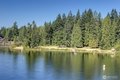 Additional image 37 of 5016 Weber Rd, Snohomish, WA, 98290