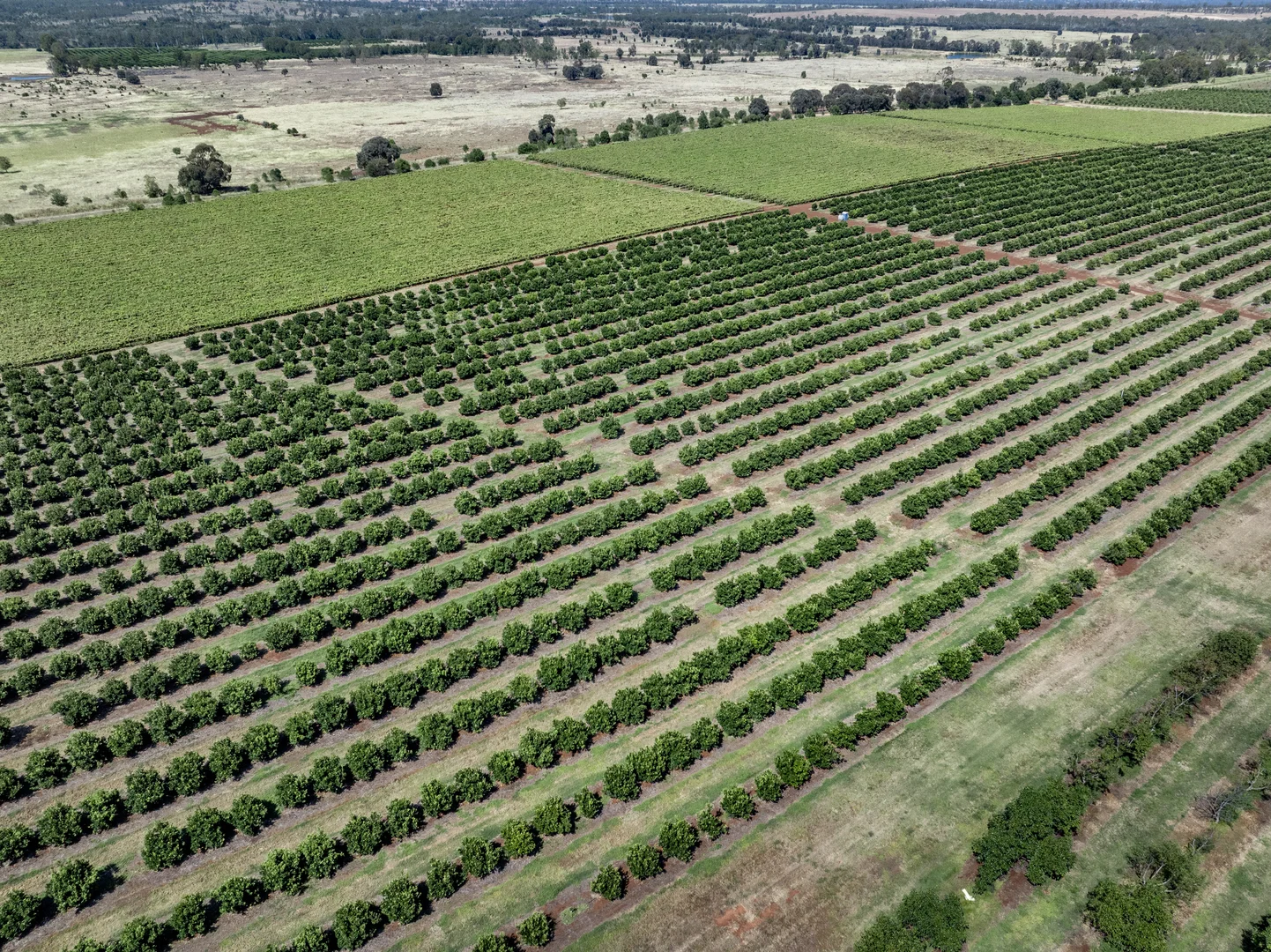 Additional image 32 of Lot 85 Glenrae Dip Road, Boynewood QLD 4626