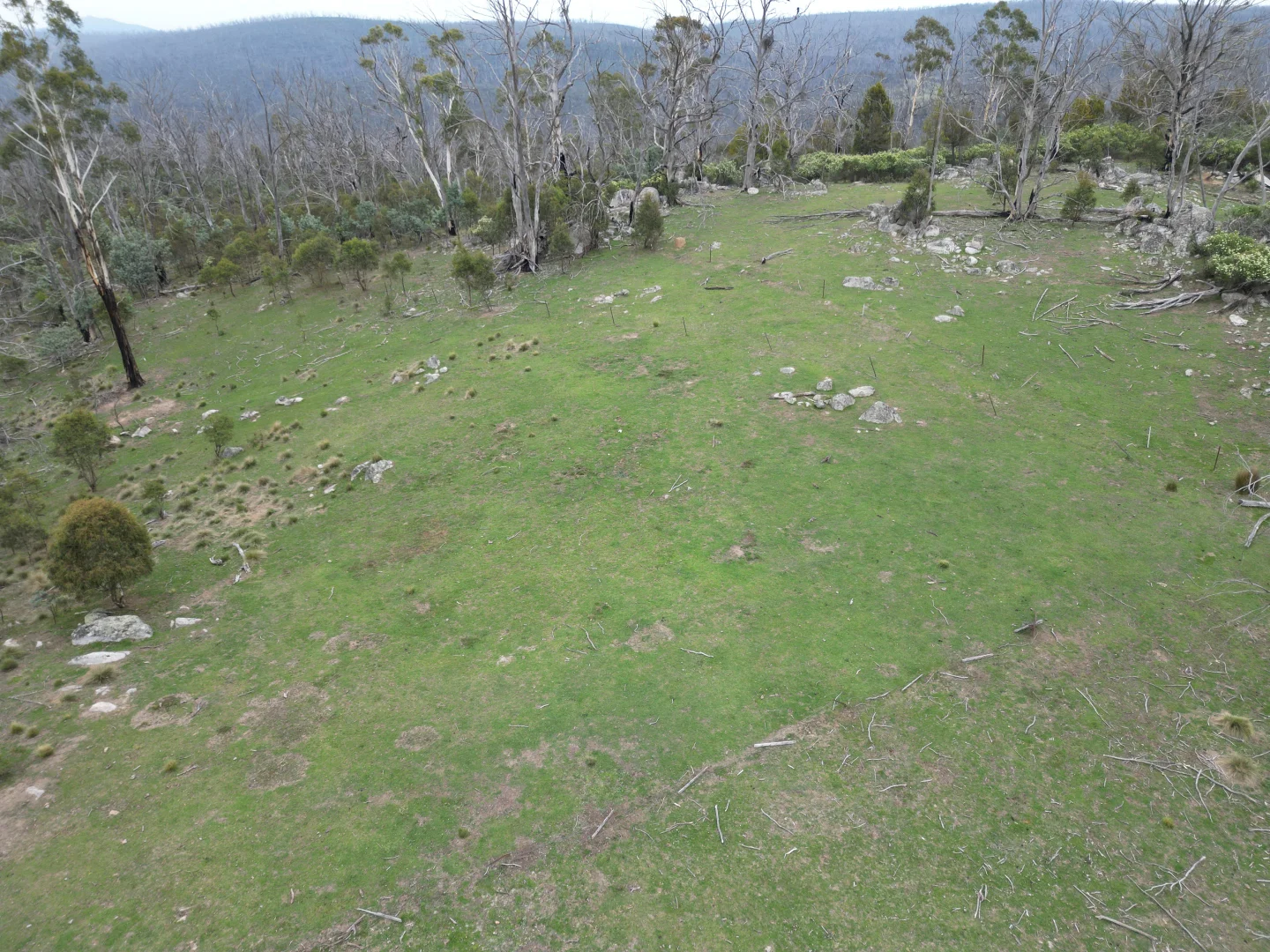 Additional image 22 of Lot 97/97, 175 Tumbledown Road, Peak View NSW 2630