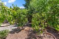 Additional image 67 of 11 Loganberry Ct, Sacramento, CA, 95835