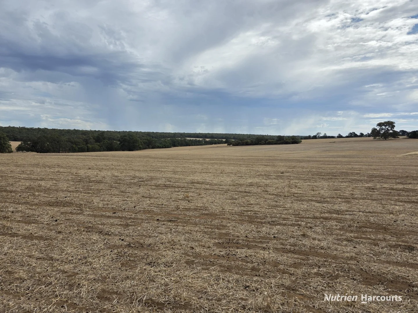"Bloomvale", Bloomfields Road, Scotts Brook WA 6244
