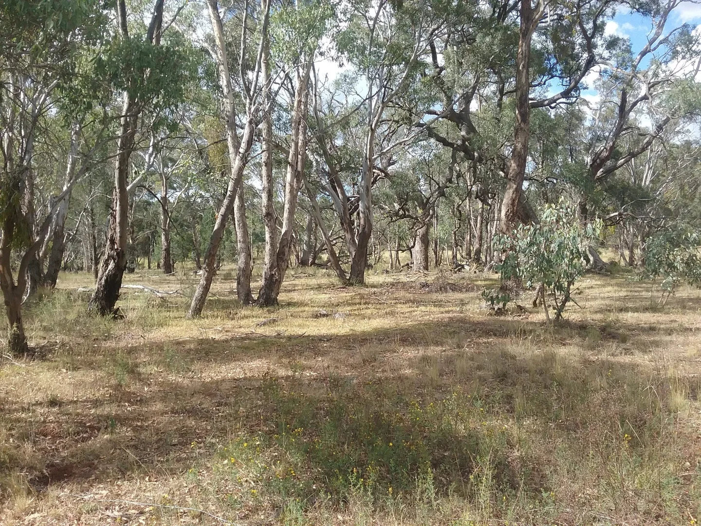 Additional image 4 of 141 Cenn Cruaich Road, Coonabarabran NSW 2357