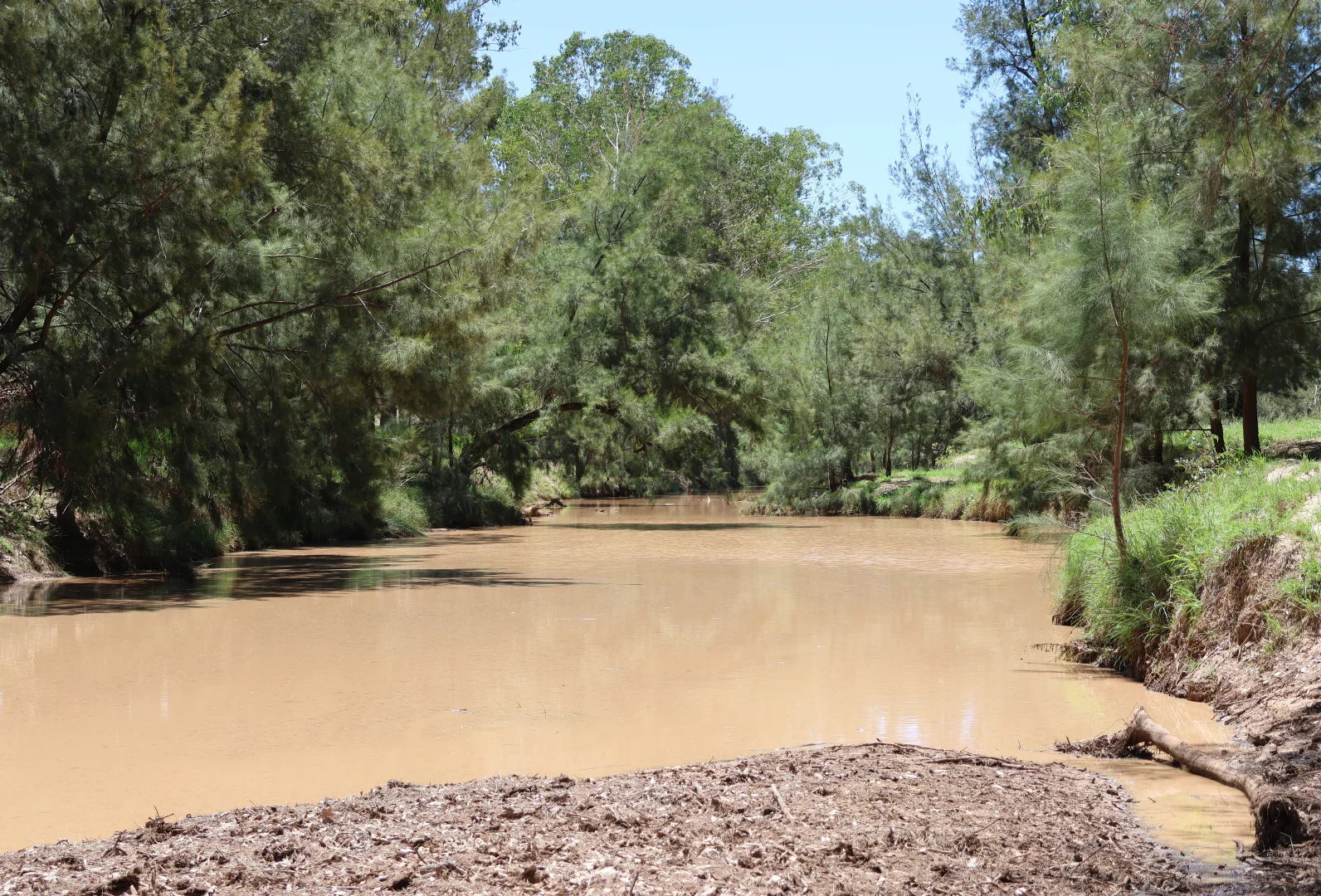 Additional image 17 of 3752 Mitchell Forest Vale Road, Mitchell QLD 4465