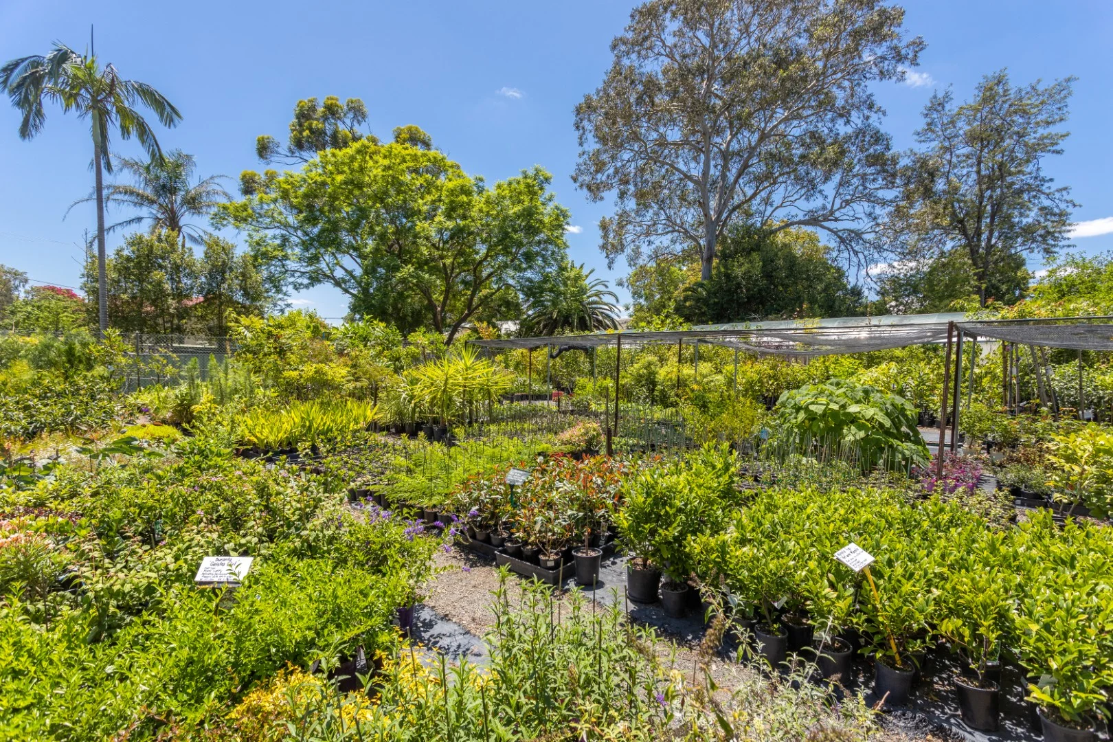 Additional image 9 of 1-5 William Street, Wingham NSW 2429