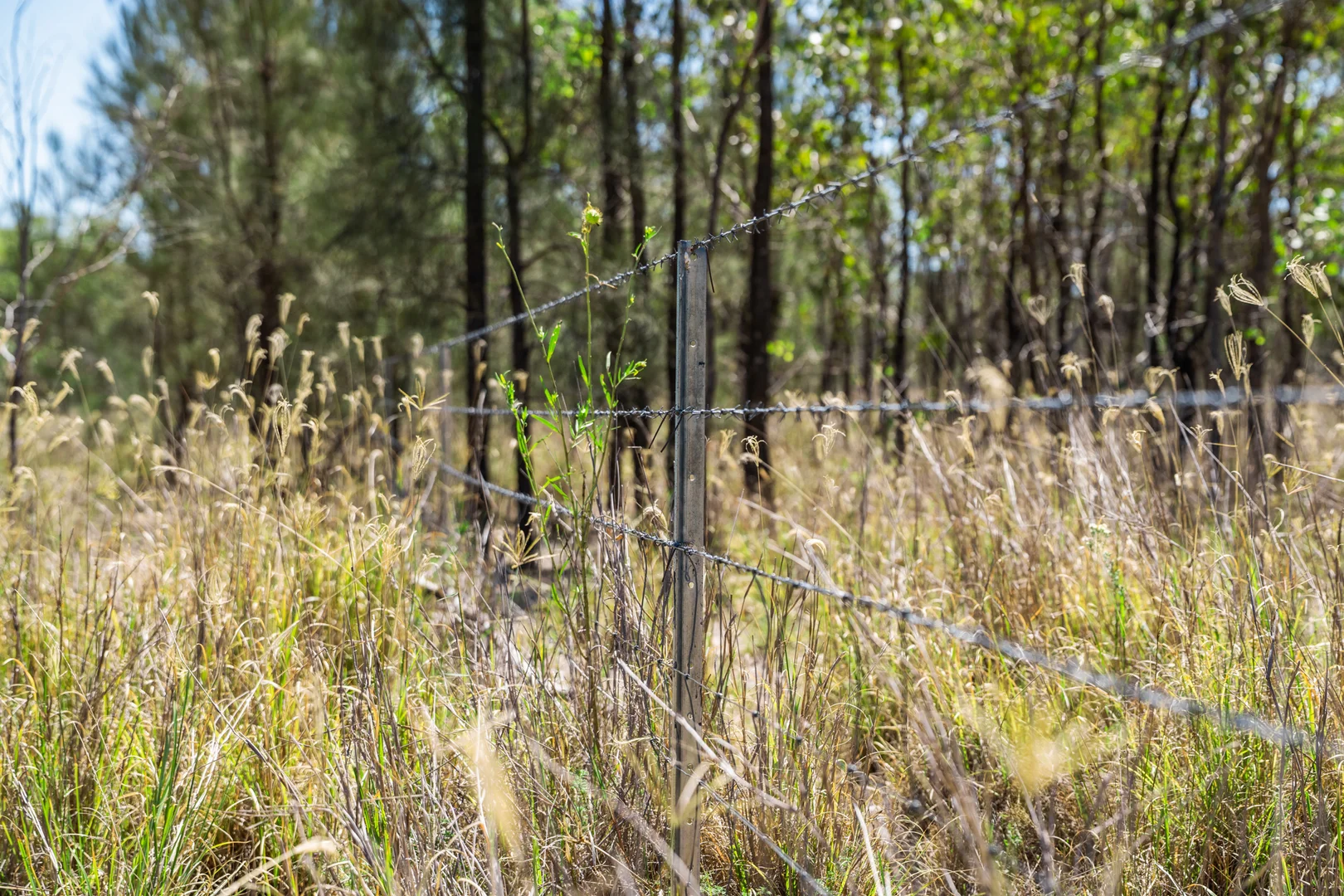 Additional image 18 of Lot 2 Sprints Drive, Leyburn QLD 4365