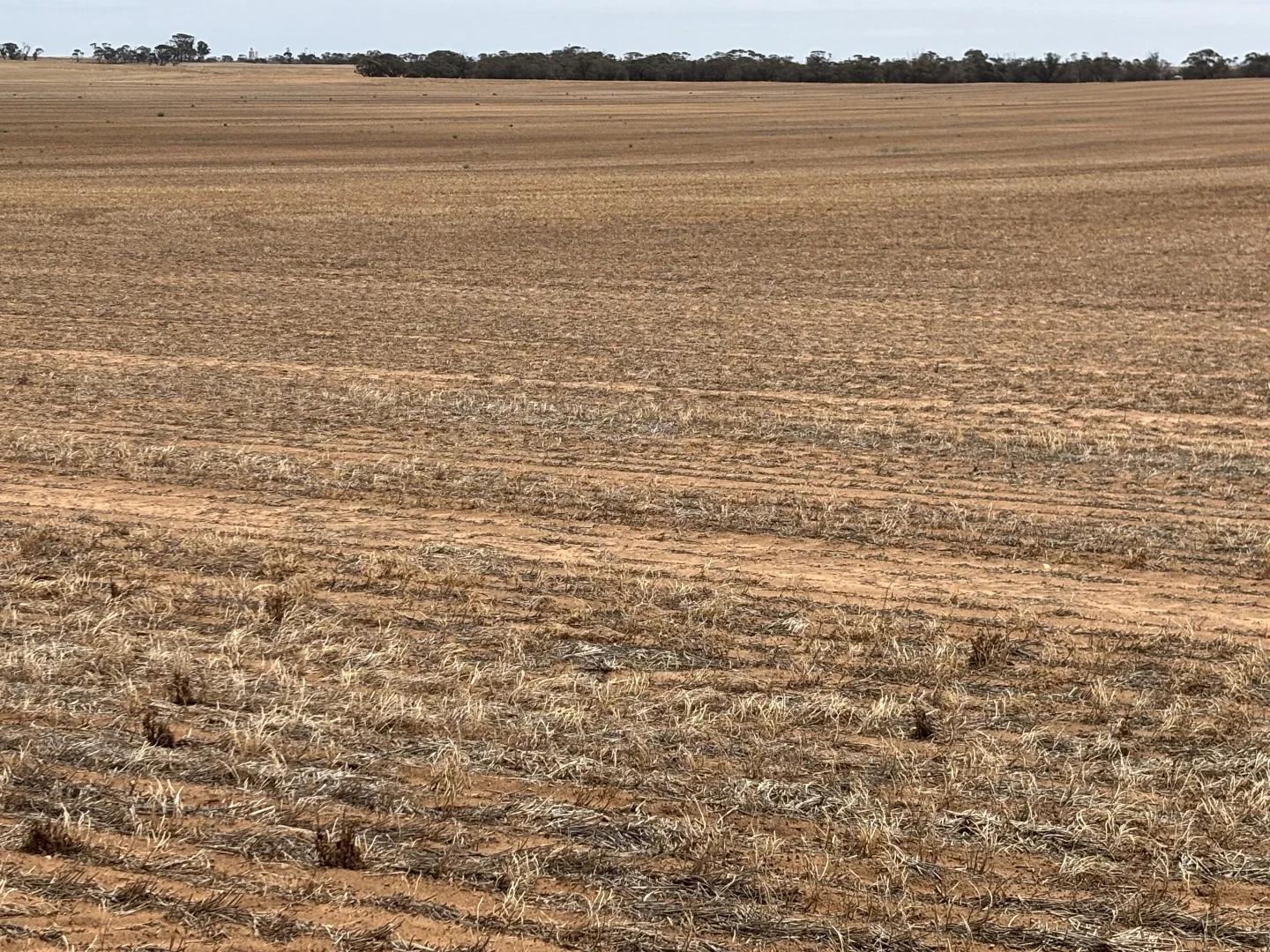 Additional image 2 of 5 Lascelles North Road, Lascelles VIC 3487