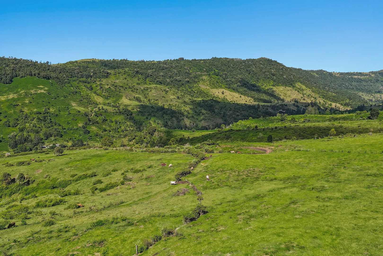 Additional image 34 of 462 Illinbah Road, Illinbah QLD 4275